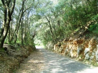 Gaeta - Monte Orlando Gaeta - Monte Orlando