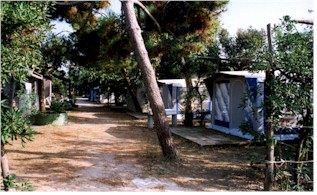 The arrangement of tents The arrangement of tents