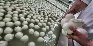 Mozzarella - La produzione Mozzarella - La produzione